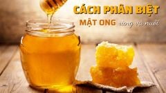  Cách phân biệt mật ong rừng và mật ong nuôi đơn giản và chính xác nhất 