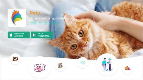 Cách tạo tài khoản cho thú cưng trên mạng xã hội Pety