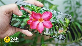 5 mẹo camera trên Galaxy S21 series, không cần là một nhiếp ảnh gia chuyên nghiệp nhưng bạn vẫn có những bức ảnh đẹp