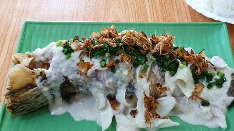 Cách làm cá lóc hấp nước cốt dừa béo ngậy thơm ngon đơn giản tại nhà