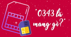  Đầu số 0343 là mạng gì? Ý nghĩa của đầu số 0343? Có phải số may mắn? 