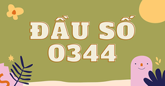 Đầu số 0344 là mạng gì? Ý nghĩa của đầu số 0344? Có phải số may mắn? 
