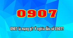  Đầu số 0907 là mạng gì? Ý nghĩa của đầu số 0907? Có phải số may mắn? 