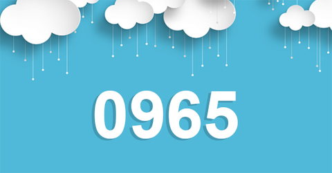Đầu số 0965 là mạng gì? Ý nghĩa của đầu số 0965? Có phải số lộc phát?