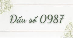  Đầu số 0987 là mạng gì? Ý nghĩa của đầu số 0987? Có phải số tài lộc? 