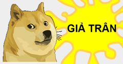  Giả trân là gì? Có ý nghĩa gì mà các bạn trẻ hay dùng trên Facebook? 