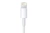 Cáp Lightning 0.5 m Apple ME291 Trắng