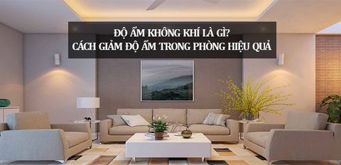 Độ ẩm không khí là gì? Cách giảm độ ẩm trong phòng hiệu quả