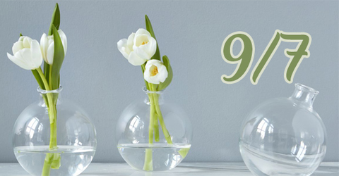 9/7 là ngày gì? Thuộc cung gì? Có sự kiện gì đặc biệt vào ngày này?