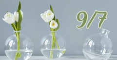  9/7 là ngày gì? Thuộc cung gì? Có sự kiện gì đặc biệt vào ngày này? 