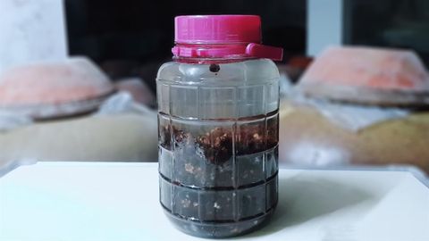 Cách ngâm rượu sim nguyên quả tại nhà đơn giản, thơm ngon bổ dưỡng