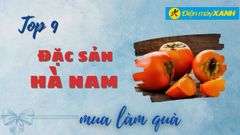  Top 9 đặc sản Hà Nam làm quà ngon ý nghĩa để mang về 