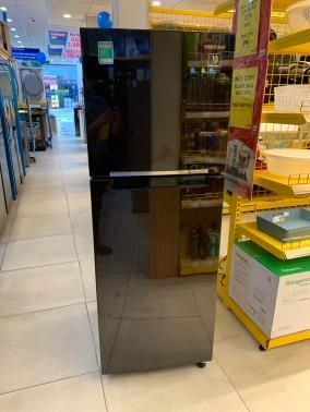 Tủ lạnh Samsung Inverter 236 lít RT22M4032BY/SV