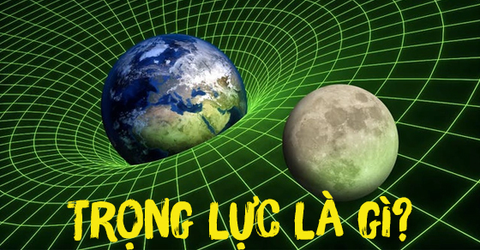 Trọng lực là gì? Công thức tính trọng lực & bài tập có đáp án chi tiết