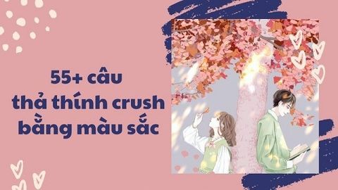 55+ stt thả thính bằng màu sắc “cute phô mai que” tặng crush