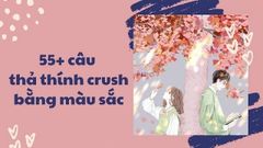  55+ stt thả thính bằng màu sắc “cute phô mai que” tặng crush 