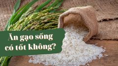  Ăn gạo sống có tốt không? Các rủi ro khi thích ăn gạo sống 