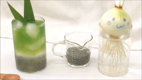 2 cách làm nước dừa hạt chia ngọt thanh, mát lạnh giải nhiệt cơ thể