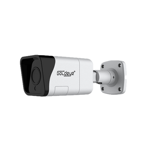 Camera Goldeye Hdvi Hybird 2.0mp Ge-hbb120