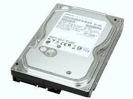 Hdd Hgst Sata 320Gb - 3.5'