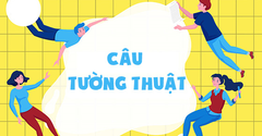  Câu tường thuật trong tiếng Anh: Phân loại, cách chuyển đổi, bài tập 