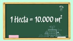  1 hecta bằng bao nhiêu m2, km2, cm2, sào? Đổi 1 ha = mét vuông 