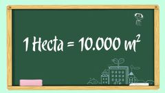  1ha bằng bao nhiêu m2, km2, cm2, sào? Quy đổi 1 ha (hecta) 