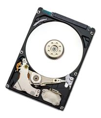  HGST HDD ENDURASTAR J4K320 320GB 