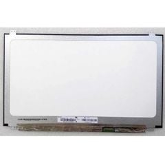 Màn Hình Lenovo Ideapad 110-15 80T7000Duk
