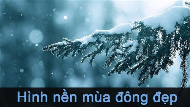 Bầu Trời đầy Sao Khiêu Vũ Cô Gái Nhảy Múa Nền đẹp Hình Nền Cho Tải Về Miễn  Phí  Pngtree