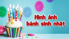  Tải ngay 100+ hình ảnh bánh sinh nhật đẹp lạ, độc đáo nhất 