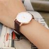 Dây da đồng hồ 18 mm nâu L016-04-18