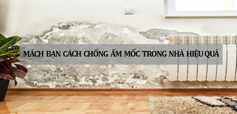 Mách bạn cách chống ẩm mốc trong nhà hiệu quả