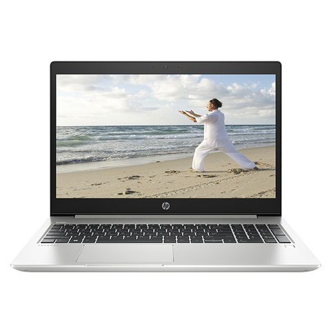 Hp Probook 455 G6 6Xa87Pa