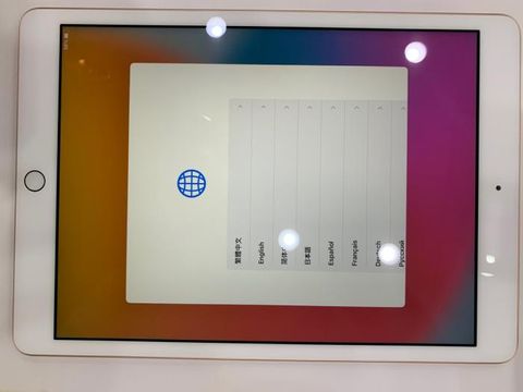 iPad 8 Wifi 128GB Gold (MYLF2ZA/A)