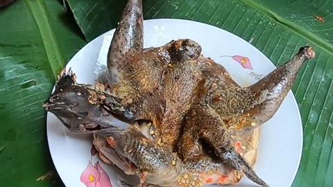 Cách làm gà ác nướng muối ớt cay cay đậm đà cực ngon miệng dễ làm