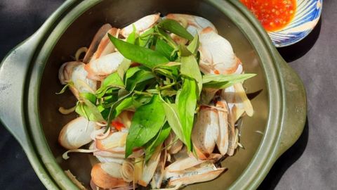 2 Cách làm tu hài (ốc vòi voi) hấp sả mới lạ hấp dẫn thơm ngon ăn là ghiền