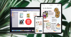  Cách xóa cookie Safari trên iPhone, iPad, MacBook cực nhanh chóng 