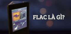  FLAC là gì? Những điểm khác biệt giữa MP3 và FLAC mà bạn nên biết 