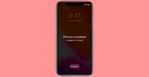 2 cách mở khóa iPhone bị vô hiệu hóa trên máy tính nhanh chóng