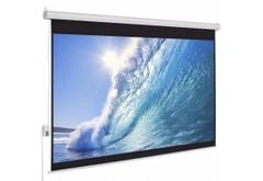  Màn chiếu điện điều khiển 300 inch Dalite Film300 