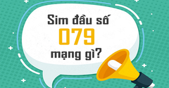  Đầu số 079 là mạng gì? Ý nghĩa của đầu số 079? Có phải là số đẹp? 