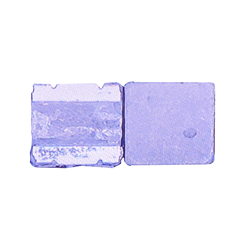 Ic Sạc Cuộn Dây L Iphone X