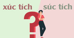  Xúc tích hay súc tích, từ nào mới là đúng chính tả? Cách dùng đúng 
