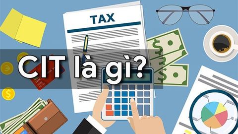 CIT là gì? Tìm hiểu các quy định về thuế thu nhập doanh nghiệp