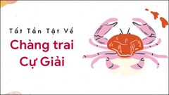  Cự giải nam | Giải mã tình yêu của chàng Cự Giải chung thủy 