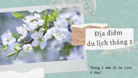 Tháng 3 nên đi du lịch ở đâu? 12 địa điểm du lịch trong nước nhất định phải đến trong tháng 3