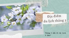  Tháng 3 nên đi du lịch ở đâu? 12 địa điểm du lịch trong nước nhất định phải đến trong tháng 3 