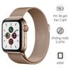 Apple Watch S5 LTE 40mm viền thép dây thép