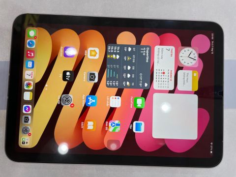 Máy tính bảng iPad Mini 6 Wifi Cellular 256GB Pink